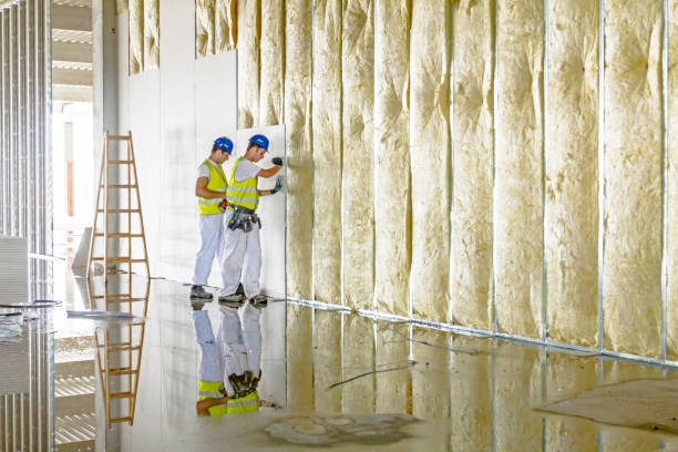 Best Attic Insulation Installation  in Cross Roads, TX